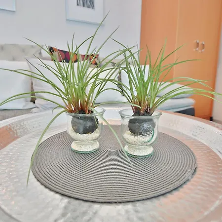 Apartman Moewenberg-residenz Moewenberg-residenz 1